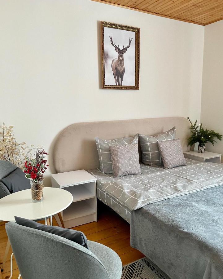 ніч над карпатами Guest house Slavske